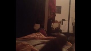 Shemale Masturbation